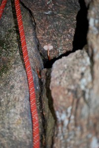 Kiipeily Kvarnby syyskuun alku 09 069