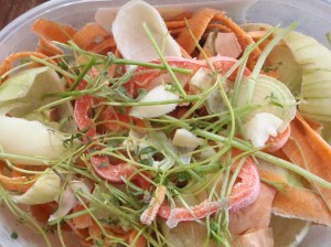 Jäisiä kasvinosia.